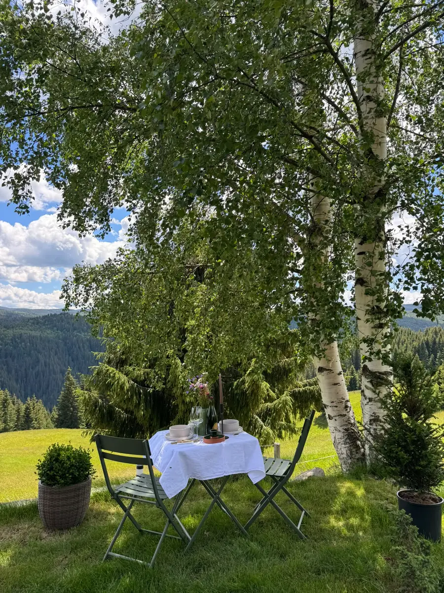 Table set for two under birch trees with a view over the hills